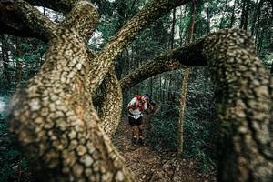 BIB: 
                            <button type="button" onclick="openModal(25393279)" class="btn btn-primary btn-sm float-right btn-popup" data-toggle="modal" data-target=".modal-high-quality">
                        <i class="fas fa-shopping-cart"></i> Add to Cart
                    </button>
                                            <button type="button" onclick="isThisMe(25393279, true)" class="btn btn-success btn-sm float-right btn-popup btn-isme hidden" data-toggle="tooltip" data-placement="bottom" title="นี่คือรูปของคุณใช่ไหม คลิกที่นี่เพื่อเอาเข้าอัลบั้ม">
                        <i class="fas fa-plus"></i> Add to album
                    </button>
                    <button type="button" onclick="isThisMe(25393279, false)" class="btn btn-warning btn-sm float-right btn-popup btn-isnotme hidden">
                        <i class="fas fa-ban"></i> Remove from album
                    </button>